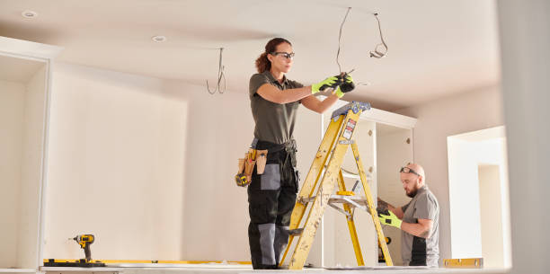 Best 24-Hour Electrician  in Appleton, MN